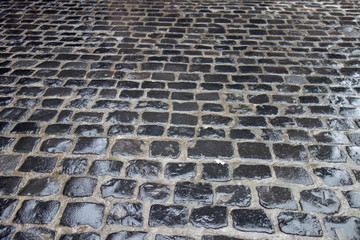 wet paving stones on a street in spring