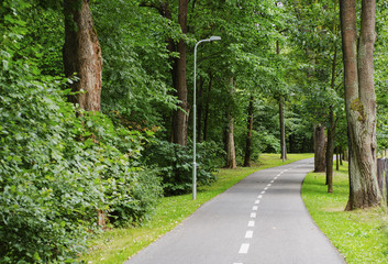 walkway for pedestrians and cyclists in the city park