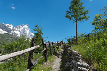 Fototapeta na wymiar Mount Matterhorn in Alpine landscape, Alps, Italy.