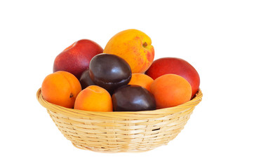 basket with a ripe crop of apricot and nectarines