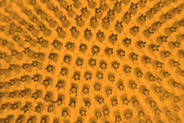 Macro and abstract sunflower