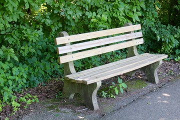 A wooden empty park bench on the path in the forest.