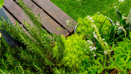Relaxing area in cozy home garden on summer./ Flatlay Beauty and relaxing garden with flower pot decoration in cozy home on summer.

