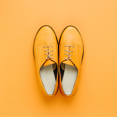 Stylish female spring or autumn shoes in various colors. Beauty and fashion concept. Flat lay, top view