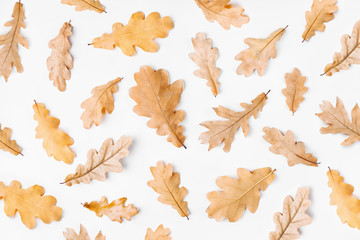 Autumn  leaves on white background. Flat lay, top view, copy space