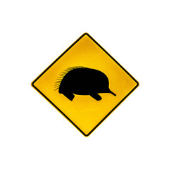 Australian warning road sign for echidnas wildlife crossing the road and highways of Australia. Isolated on white.
