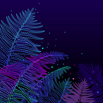 Vector corner composition of outline fossil forest plant Fern with frond on the black background. Drawing of magic forest with contour ornate Fern foliage for fairy summer design.