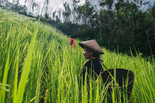 Senior Karen woman in her rotational farming