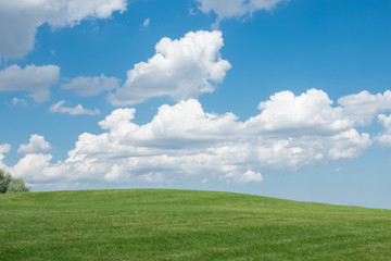 Beautiful landscape. Green grass field and cloudy blue sky