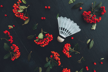 Flat lay badminton shuttlecock