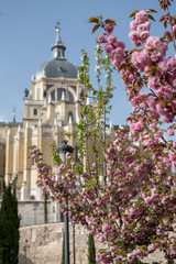 Obraz premium Almudena Cathedral