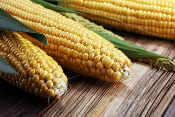 Fresh corn on cobs on rustic wooden table.