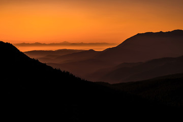 Sunrise on the road to Hurricane Ridge, Olympic National Park, Washington State
