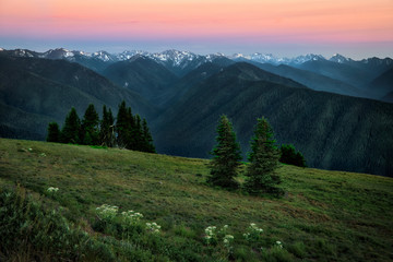 Sunset over the Olympic Mountain range at Hurricane Ridge, Olympic National Park, Olympic Peninsula, Washington State