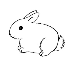 Bunny outline - furry white hare