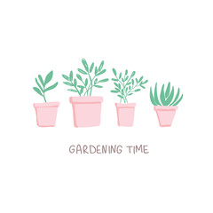Vector illustration of potted flowers