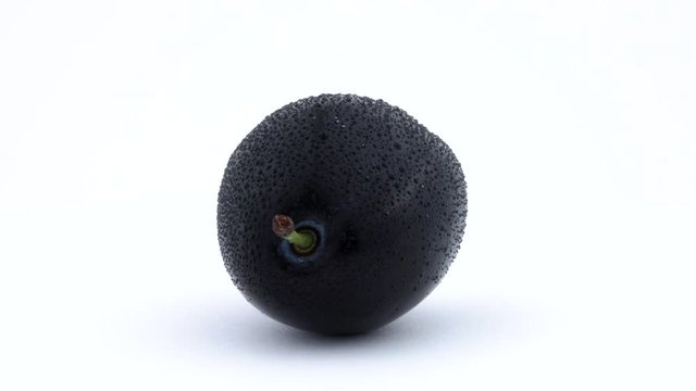 One whole plum fruit with water drops. Rotating on the turntable. Isolated on the white background. Close up. Macro.