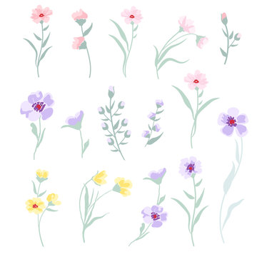 Vector floral set on white background.