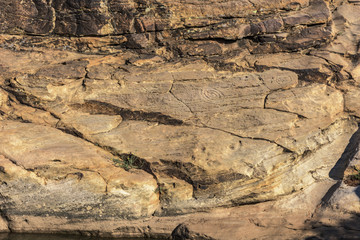 San Ysidro Trials Area Petroglyphs