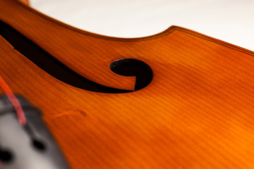 violin cello double bass details © João Braun