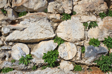 wall of large stones with plants