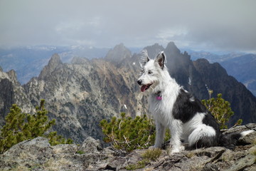 Exploring the Pacific Northwest, Washington State
