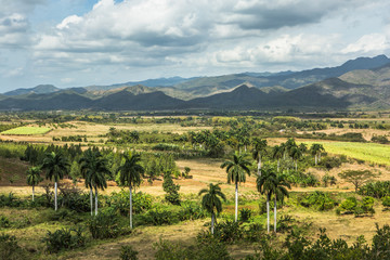 Fototapeta na wymiar Countryside Panorama