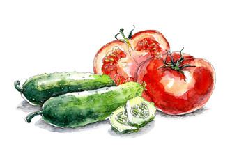 Vegetable set with tomatoes and cucumbers. Hand drawn watercolor painting on white background.