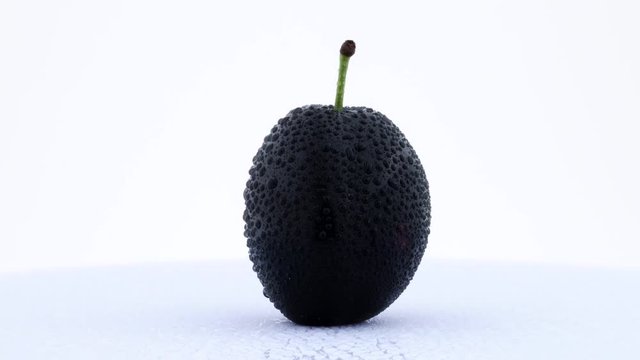 One whole plum fruit in water drops. Rotating on the turntable. Isolated on the white background. Close up. Macro.