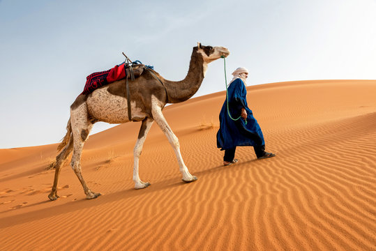 Berber and camel walking through the dunes on a sunny day