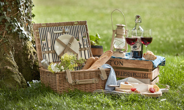 Picnic basket with food and wine on grass