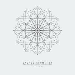 Sacred geometry line vector element flower of life . Vector illustration .