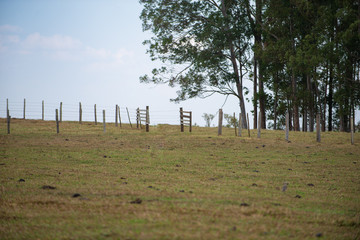 fazenda