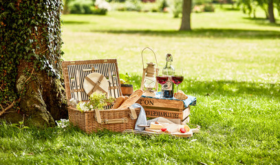 Picnic set with food and wine on grass