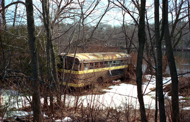 Abandoned rusty school bus in the woods