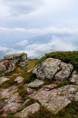 Fototapeta na wymiar Green mountain with floating cloud and blue sky 