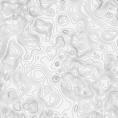 Abstract vector landscape background. Cyberspace  grid. 3d technology  illustration.