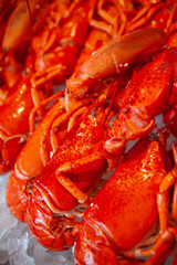 Fresh, juicy and tasty bright red poached Maine Lobster or American lobster. One of the sweetest, most flavorful lobster on Earth.