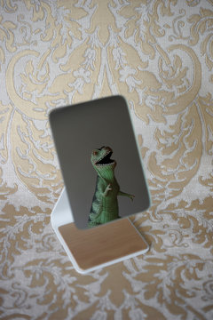 Tyrannosaurus in a mirror