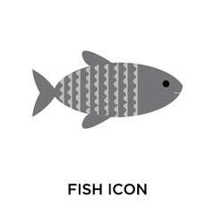 fish icon on white background. Modern icons vector illustration. Trendy fish icons