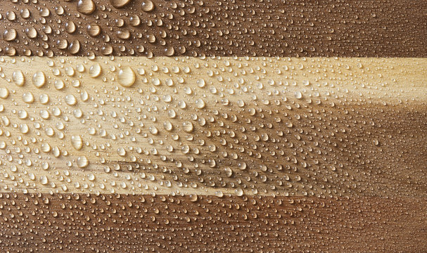 Water Droplets on Wood