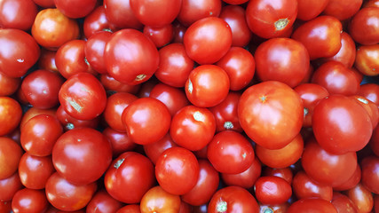 fresh organic tomato. tomatoes. tomato background