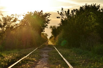 El camino