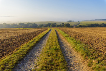 Countryside with dual track road path and morning mist in autumn in the village of Schmachtenberg in Bavaria, Germany