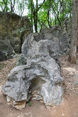 Stone forest Shilin. Kunming, China