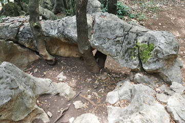Stone forest Shilin. Kunming, China.