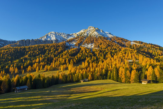 Mountain with Larches in Autumn, Vigo di Fassa, Dolomites, Trentino-Alto Adige, South Tirol, Italy