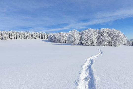 Snow Covered Winter Landscape with Snowshoe Trail, Schauinsland, Black Forest, Freiburg im Breisgau, Baden-Wurttemberg, Germany