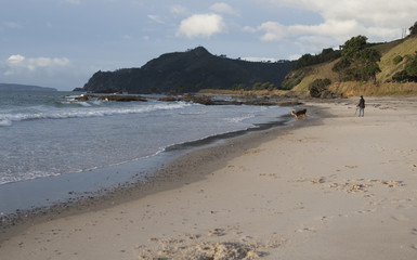 Greys beach coromandel peninsula NZ