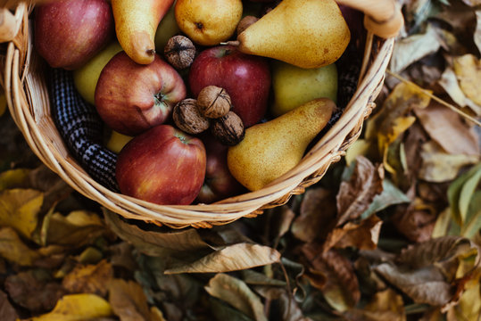 autumn fruits in the basket